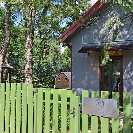 Medaus Apartamentai Trakai Kültér fotó