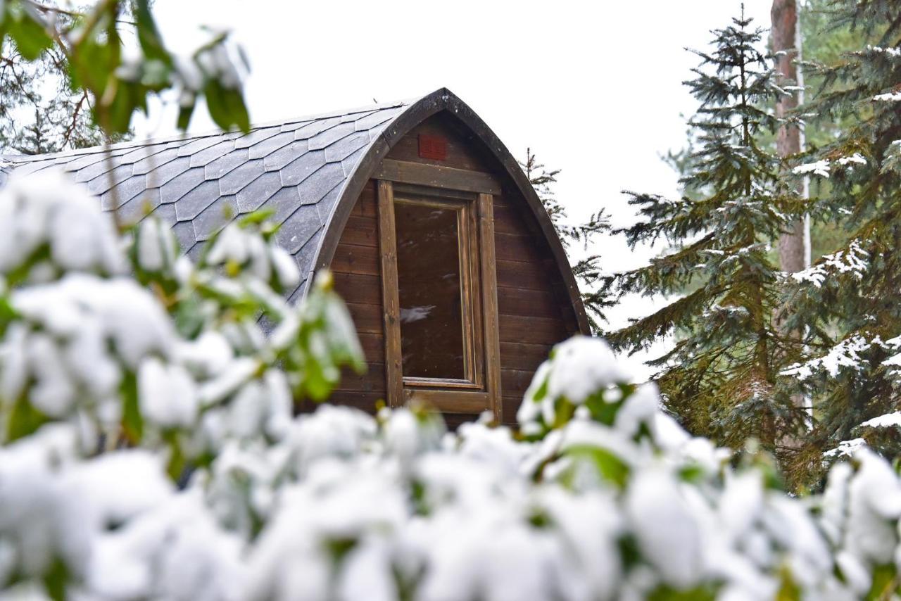 Medaus Apartamentai Trakai Kültér fotó